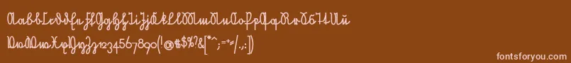 NeueRudelskopfVerbundenFett Font – Pink Fonts on Brown Background