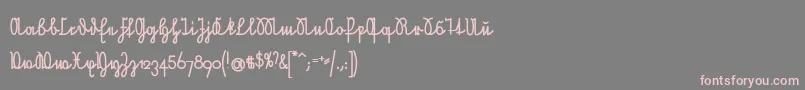 NeueRudelskopfVerbundenFett Font – Pink Fonts on Gray Background