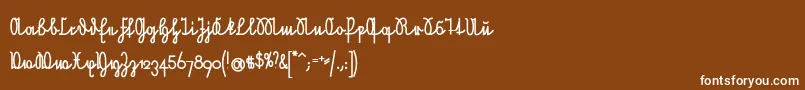 NeueRudelskopfVerbundenFett Font – White Fonts on Brown Background