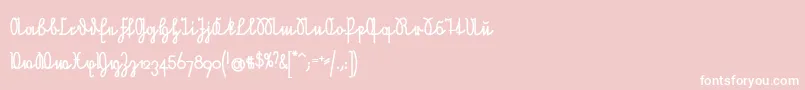 NeueRudelskopfVerbundenFett Font – White Fonts on Pink Background