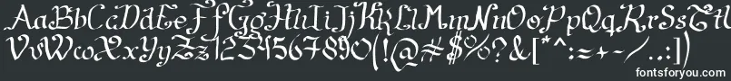 フォントArtesanР±as2011 – 白い文字