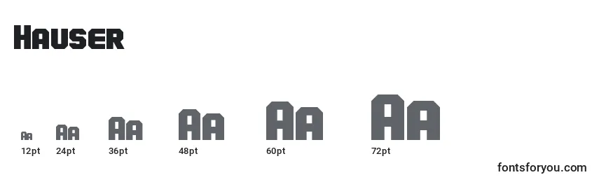 Hauser Font Sizes