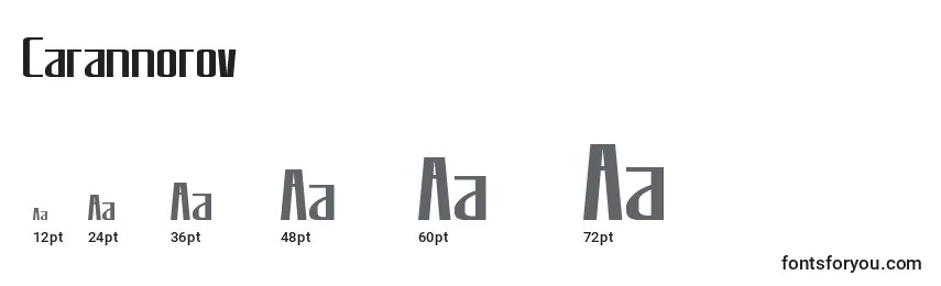 Carannorov Font Sizes