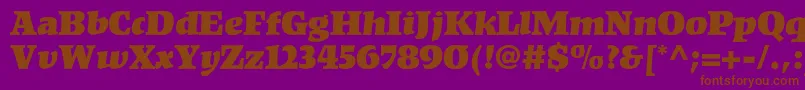 Kompaktltstd-Schriftart – Braune Schriften auf violettem Hintergrund