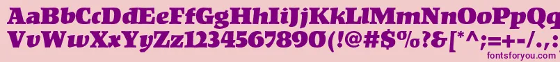 フォントKompaktltstd – ピンクの背景に紫のフォント