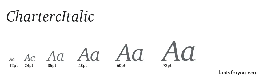 Размеры шрифта ChartercItalic