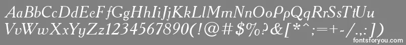 AcademiaItalic Font – White Fonts on Gray Background