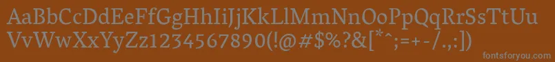 VesperlibreRegular Font – Gray Fonts on Brown Background