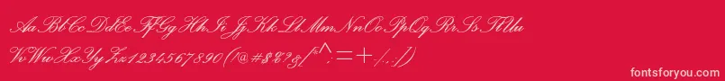 PalacescriptmtstdSemibold Font – Pink Fonts on Red Background