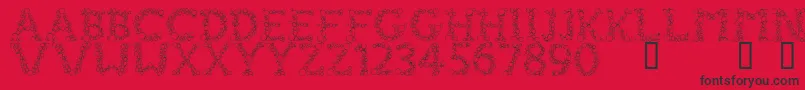 FizzoRegular Font – Black Fonts on Red Background