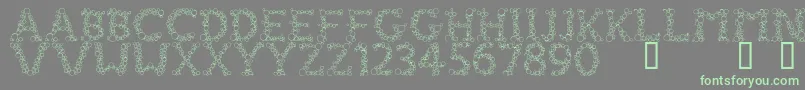 FizzoRegular Font – Green Fonts on Gray Background