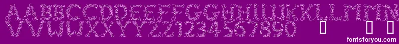 FizzoRegular Font – White Fonts on Purple Background