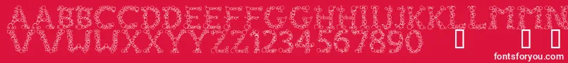 FizzoRegular Font – White Fonts on Red Background