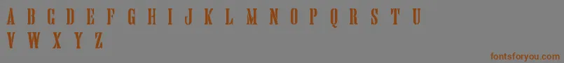HandprintingpressStencilDemo Font – Brown Fonts on Gray Background