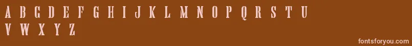 HandprintingpressStencilDemo Font – Pink Fonts on Brown Background