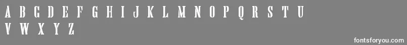 HandprintingpressStencilDemo Font – White Fonts on Gray Background