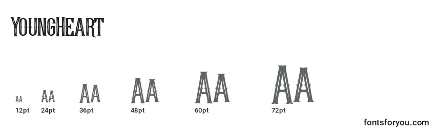 YoungHeart Font Sizes