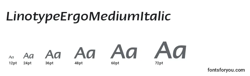 Размеры шрифта LinotypeErgoMediumItalic