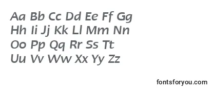 Обзор шрифта LinotypeErgoMediumItalic