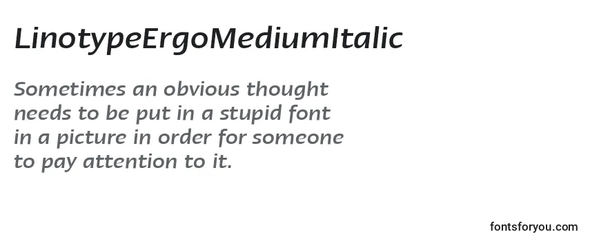 LinotypeErgoMediumItalic Font