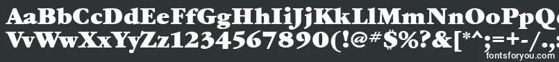 フォントGaramondbookettBold – 白い文字