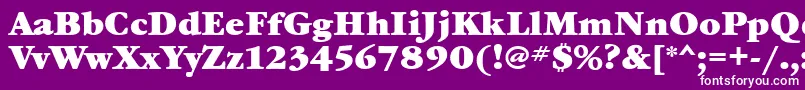 フォントGaramondbookettBold – 紫の背景に白い文字