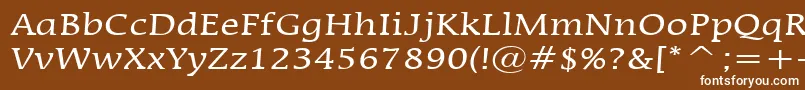 MirrorNormal Font – White Fonts on Brown Background