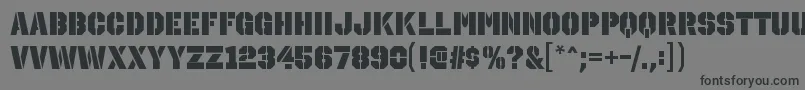 OctinstencilblRegular Font – Black Fonts on Gray Background