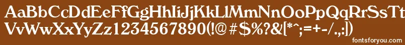 VeronaserialMediumRegular-Schriftart – Weiße Schriften auf braunem Hintergrund