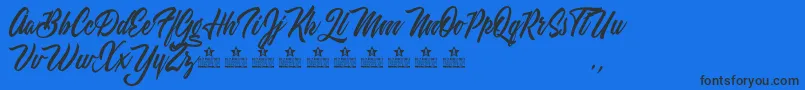 WeekendFlowerHuntersPersonalUse Font – Black Fonts on Blue Background