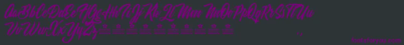 WeekendFlowerHuntersPersonalUse Font – Purple Fonts on Black Background