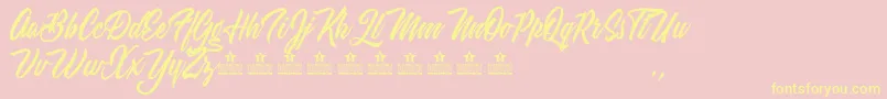 WeekendFlowerHuntersPersonalUse Font – Yellow Fonts on Pink Background