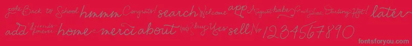 EmilyLimeWords Font – Gray Fonts on Red Background