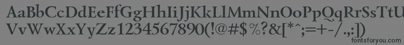 LazurskiBoldCyrillic Font – Black Fonts on Gray Background