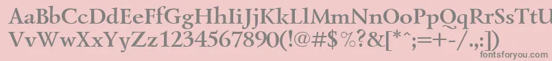 LazurskiBoldCyrillic Font – Gray Fonts on Pink Background