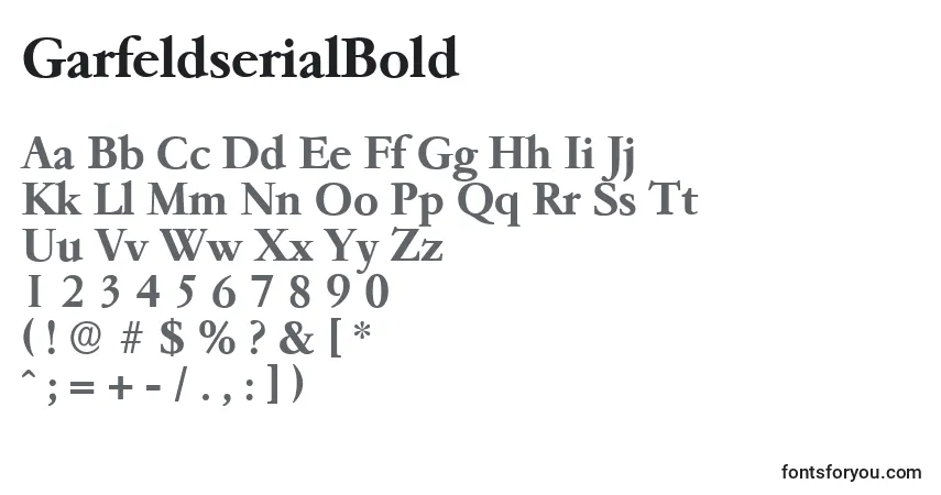 Шрифт GarfeldserialBold – алфавит, цифры, специальные символы