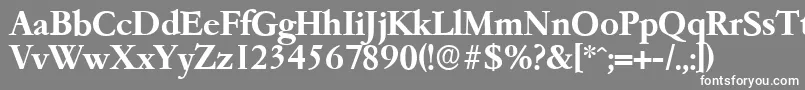 フォントGarfeldserialBold – 灰色の背景に白い文字