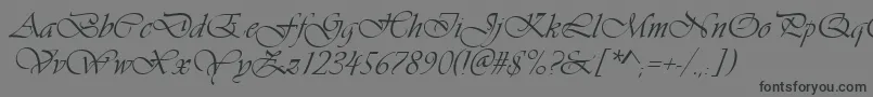 Vivaldid Font – Black Fonts on Gray Background