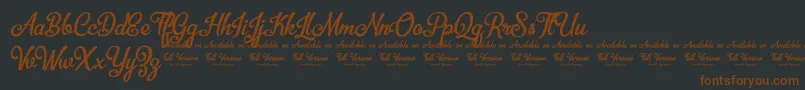 BellicoDemoVersion Font – Brown Fonts on Black Background