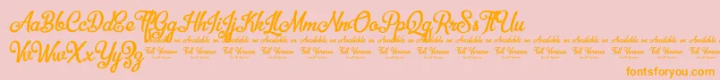 BellicoDemoVersion-Schriftart – Orangefarbene Schriften auf rosa Hintergrund