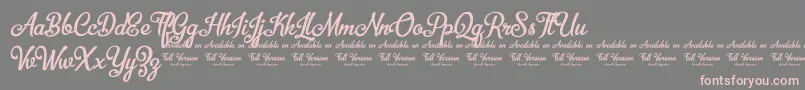 Police BellicoDemoVersion – polices roses sur fond gris