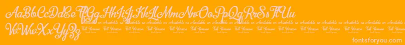 BellicoDemoVersion Font – Pink Fonts on Orange Background