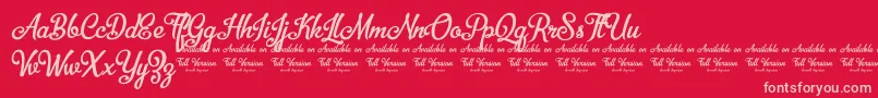En savoir plus sur la police BellicoDemoVersion Police BellicoDemoVersion – polices roses sur fond rouge