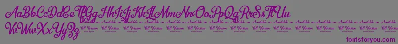 BellicoDemoVersion Font – Purple Fonts on Gray Background