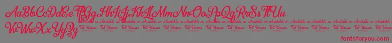 BellicoDemoVersion Font – Red Fonts on Gray Background