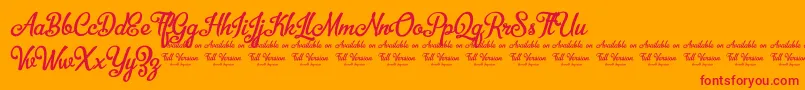 BellicoDemoVersion-Schriftart – Rote Schriften auf orangefarbenem Hintergrund