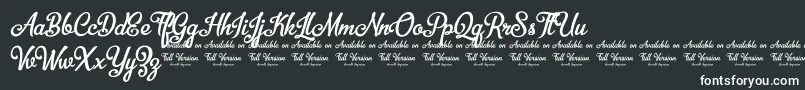 BellicoDemoVersion Font – White Fonts