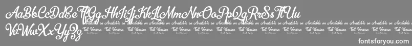 BellicoDemoVersion Font – White Fonts on Gray Background