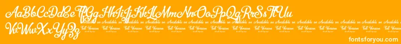 BellicoDemoVersion Font – White Fonts on Orange Background