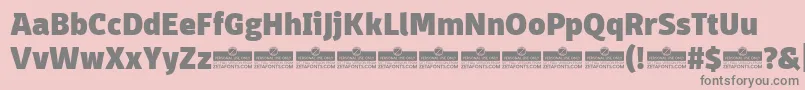 DomotikaHeavyTrial Font – Gray Fonts on Pink Background
